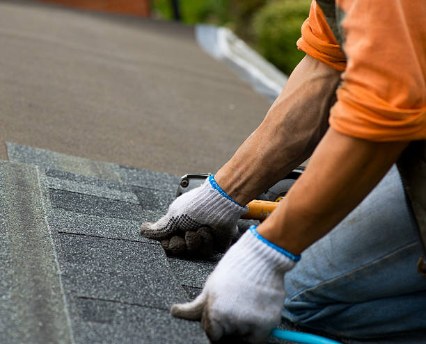 Best Gutter Installation and Roofing  in Chase, PA