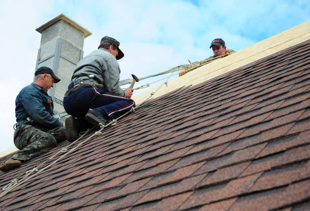 Best Roof Gutter Cleaning  in Chase, PA